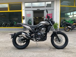 Betamotor Alp 4.0 (2018 – 20)