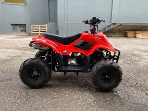 Altre moto o tipologie Quad